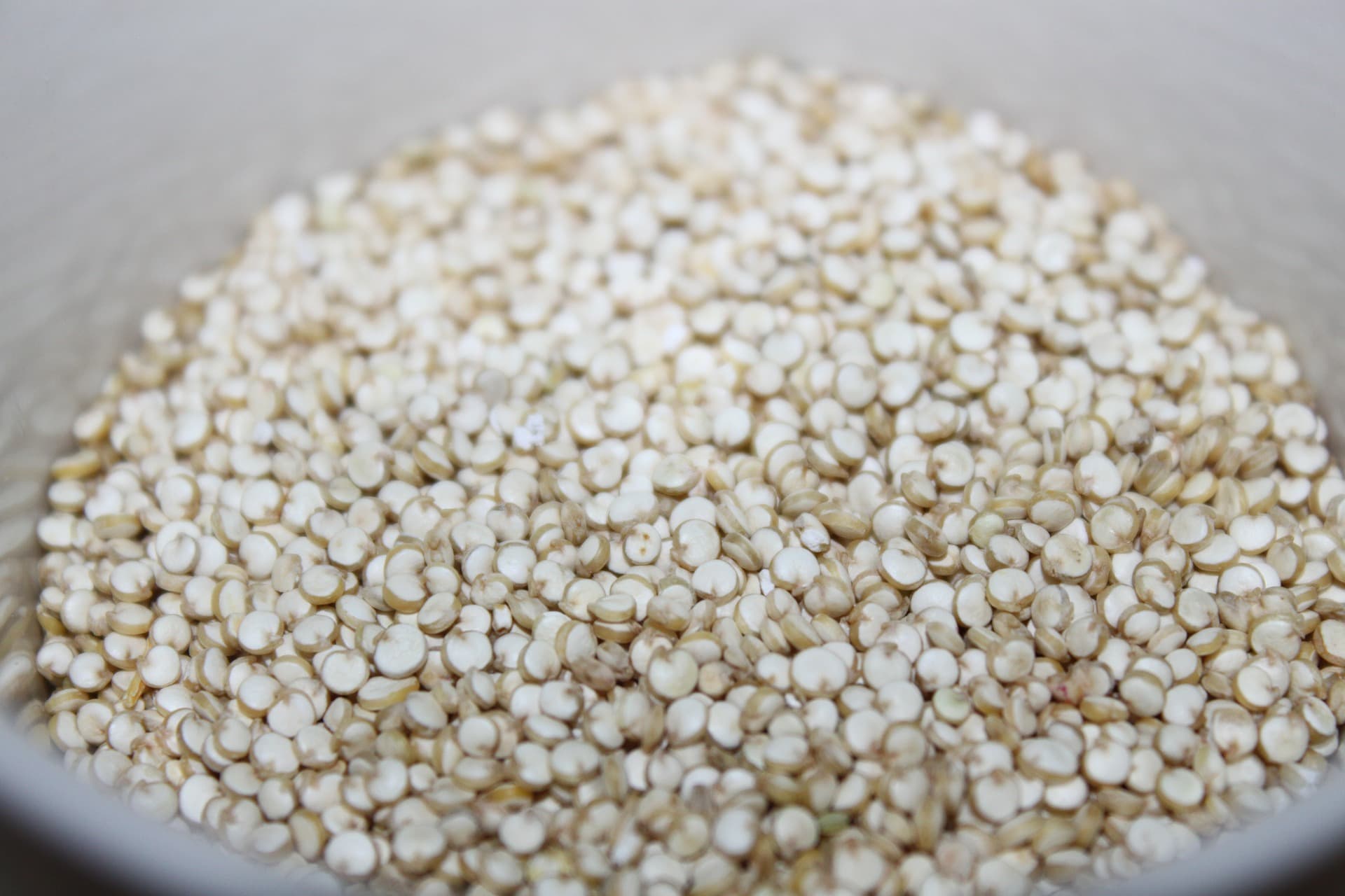 KOMOSA RYŻOWA (QUINOA) – WŁAŚCIWOŚCI ODŻYWCZE