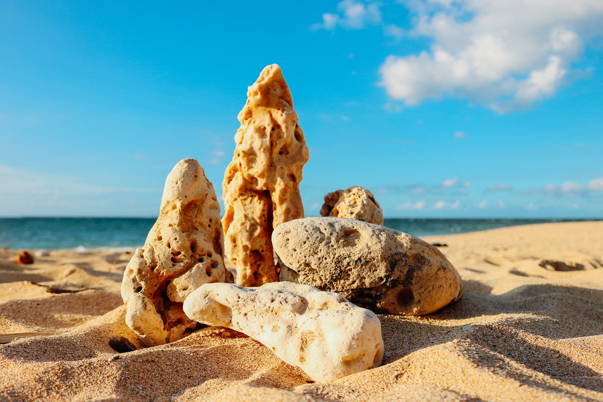 CO JEŚĆ I PIĆ NA PLAŻY? – KILKA PROSTYCH PORAD
