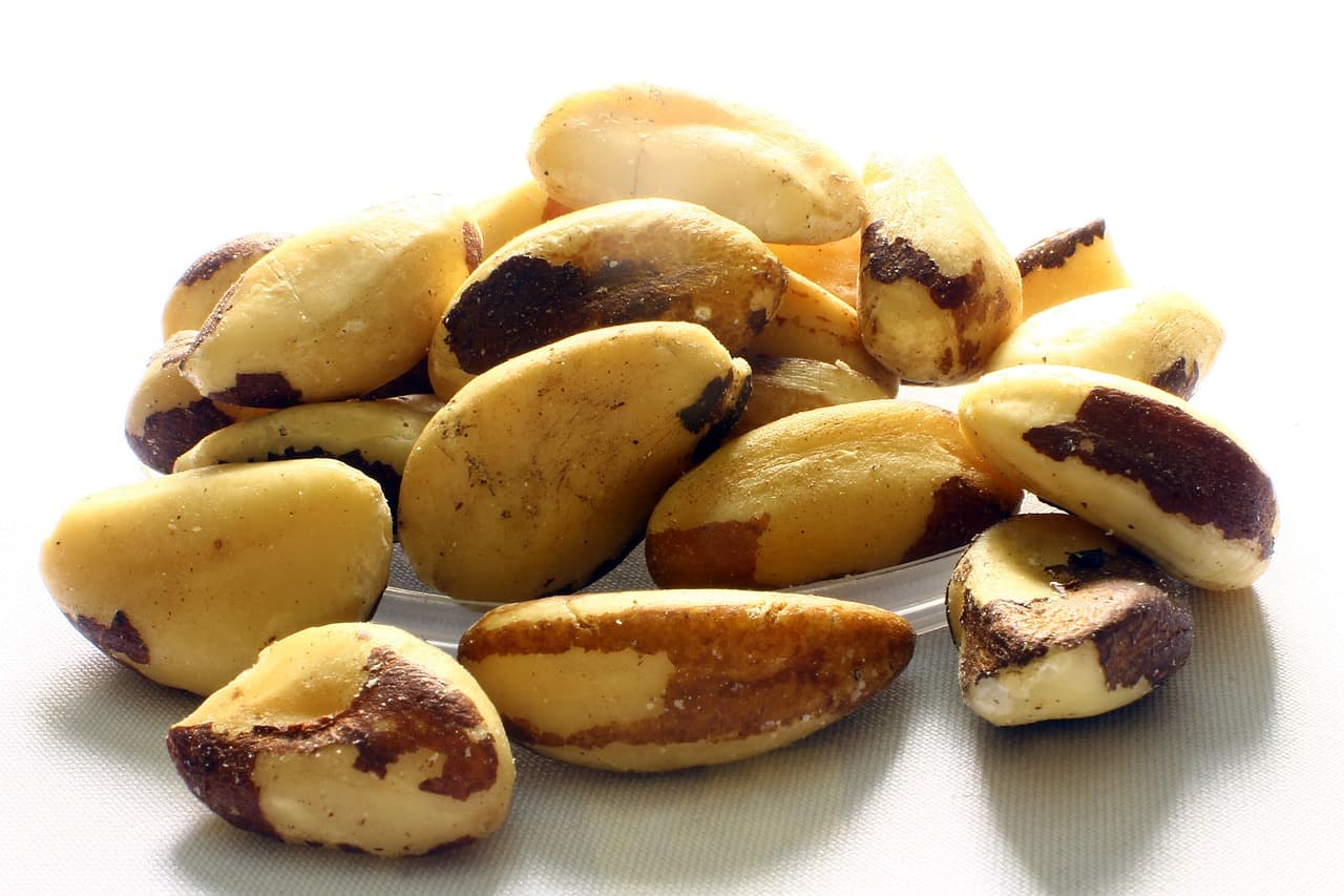 ORZECHY BRAZYLIJSKIE – CENNY SKŁADNIK DIETY