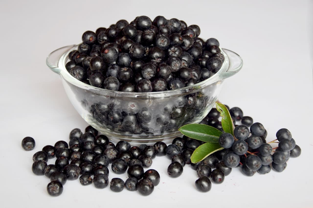 ARONIA – ANTIDOTUM NA CHOROBY CYWILIZACYJNE