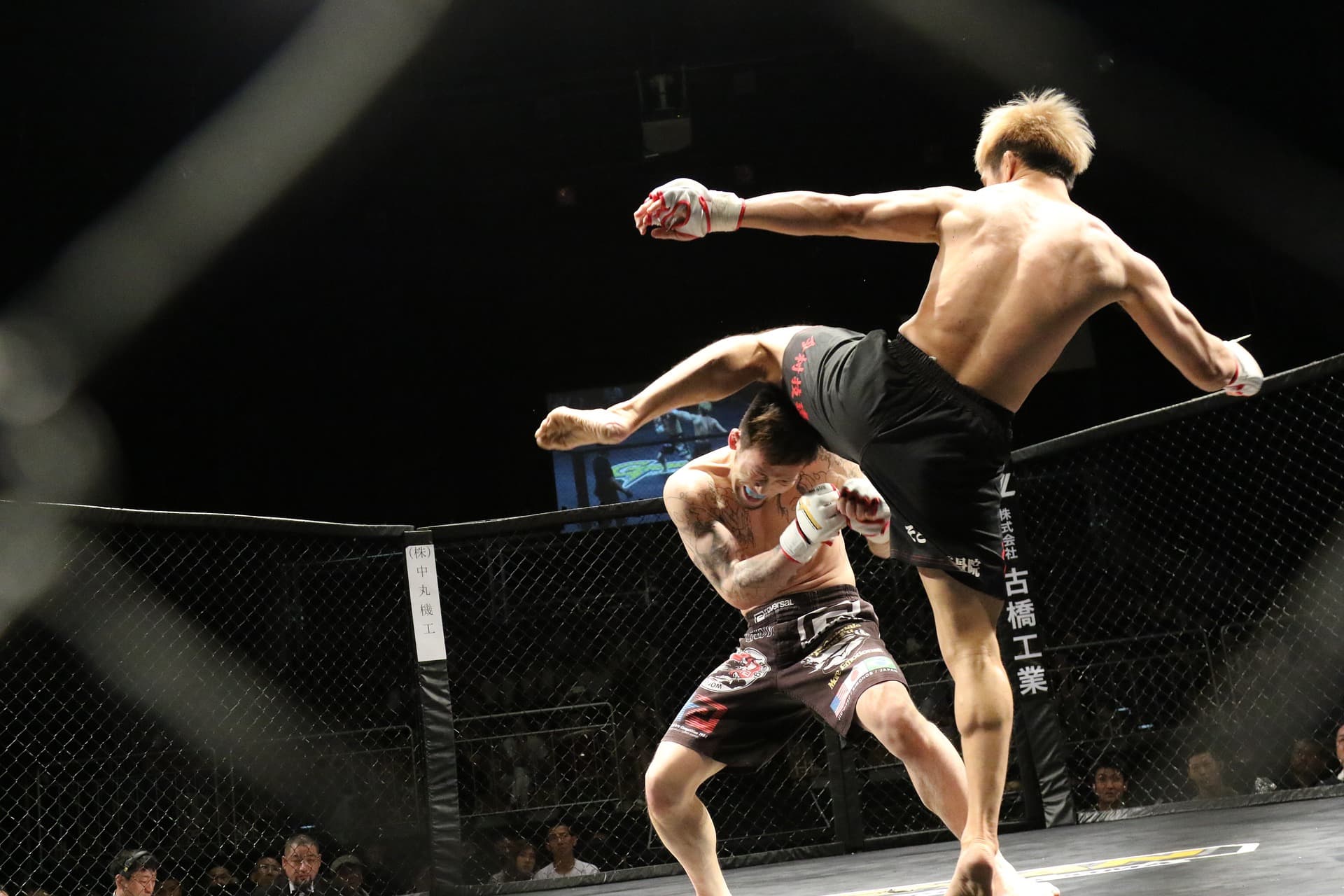 JAK SIĘ ODŻYWIAĆ, BY WYGRYWAĆ WALKI MMA?